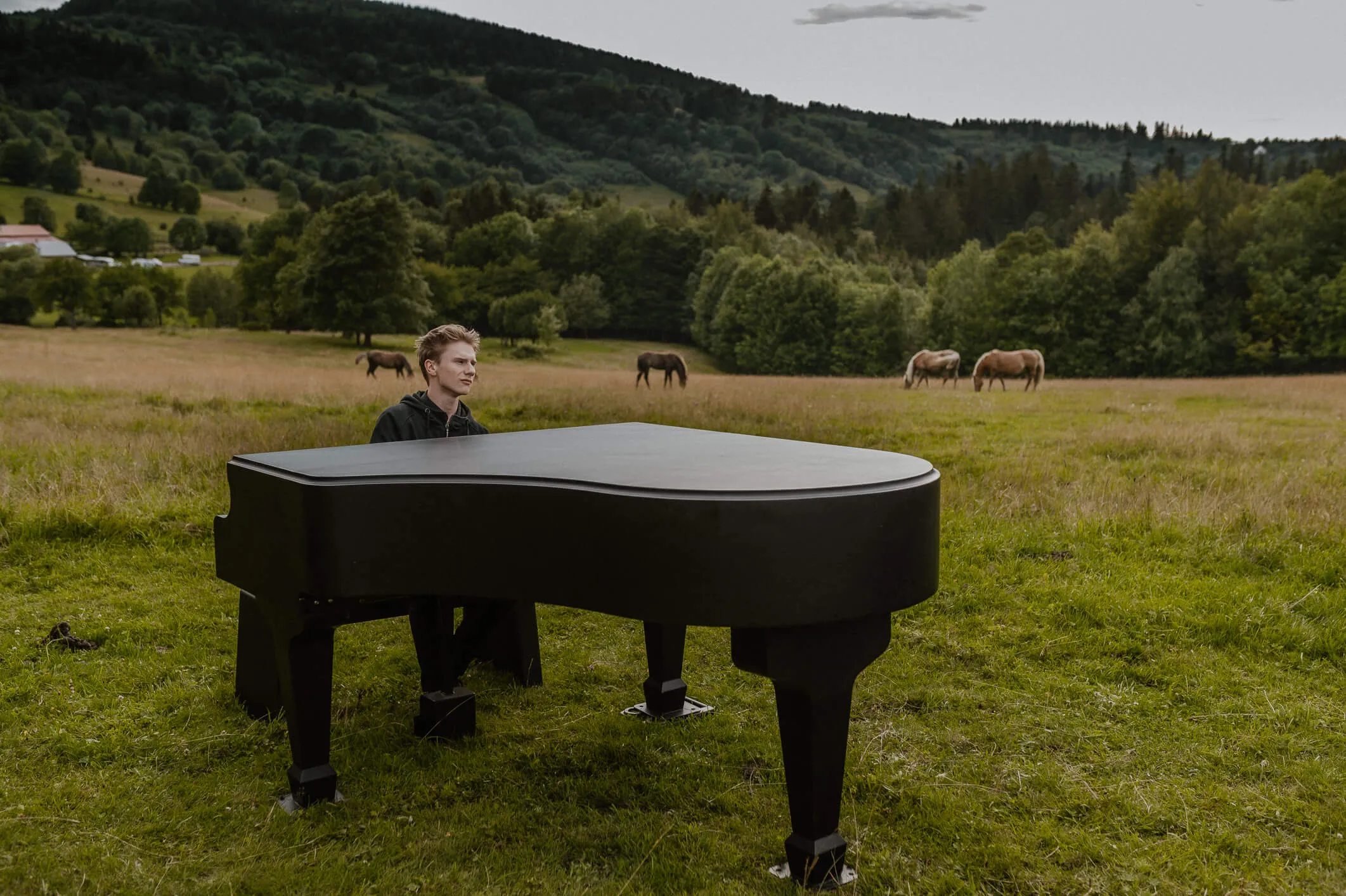 Cadenza piano community